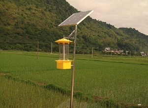 小麦太阳能杀虫灯项目